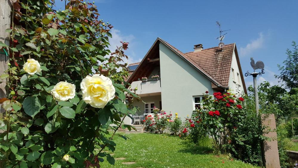 Le Gm Chambres D'Hotes De Charme En Alsace Mittelwihr Luaran gambar